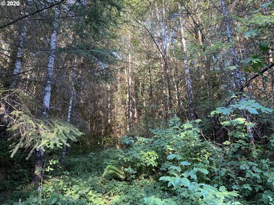 0 Germany Creek Rd unit 20119868, Longview, WA 98632 - photo 3