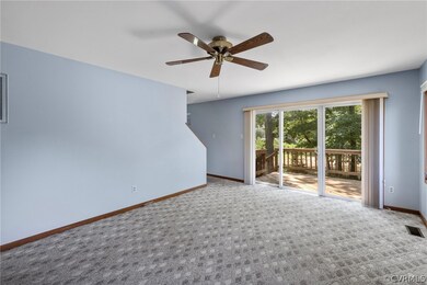 Slider from Living Room to Back Deck