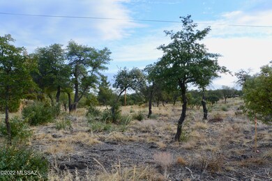 TBD N Viento Dr unit 1.03 Ac, Oracle, AZ 85623 - photo 2