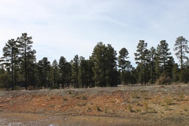 200 W Pine Haven Cir, Show Low, AZ 85901 - photo 2