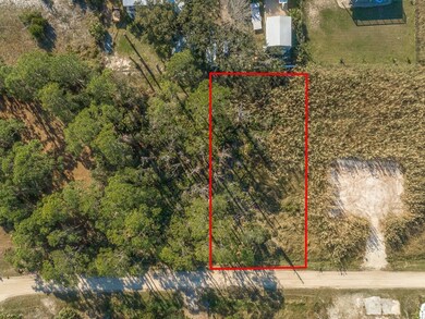 308 Quinn St, St. George Island, FL 32328 - photo 6