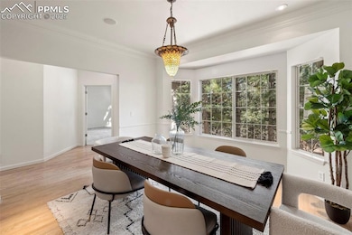 235 Balmoral Way, Colorado Springs, CO 80906 - photo 3