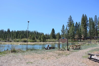 IMG_2535