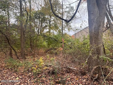 23 Kuzyk Rd, Plumsted, NJ 08514 - photo 6