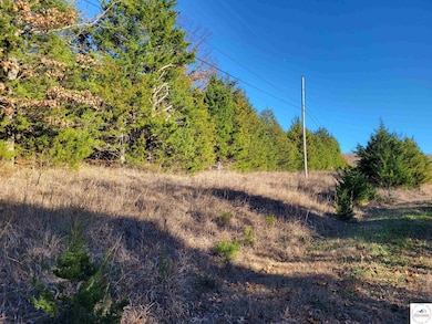 0 Wolcott Cir unit Lot 3823,3824 & 391, Union Township, MO 65326 - photo 2