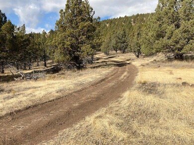 0 Shop Gulch unit 220111419, Mount Vernon, OR 97865 - photo 6