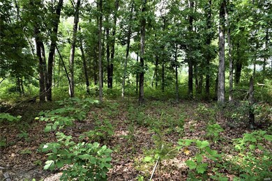 39 Ridge Top Dr, Farmington, MO 63640 - photo 5