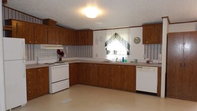 305 Hollywood Blvd, Donalsonville, GA 39845 - photo 5