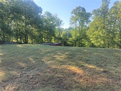 4106 Water Oak Dr, Texarkana, AR 71854 - photo 7