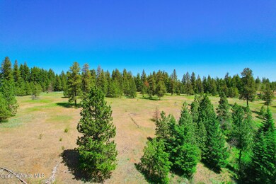NKA 1A Skyview Rd, Harrison, ID 83833 - photo 4