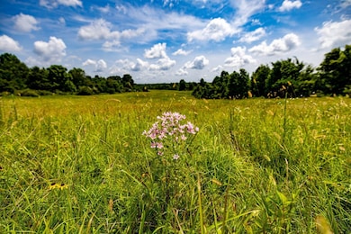 0 Scenic Ln unit LotWP001 24246943, Horse Branch, KY 42349 - photo 4
