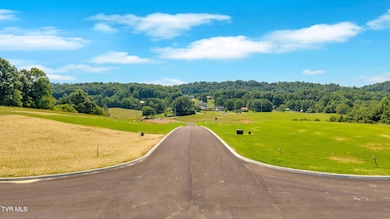 25-web-or-mls-DJI_20250602111908_0167_D