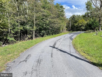 Lot 111 Cub Trail, Winchester, VA 22602 - photo 2