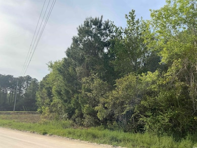 TBD McNeil Chapel Rd, Loris, SC 29569 - photo 3