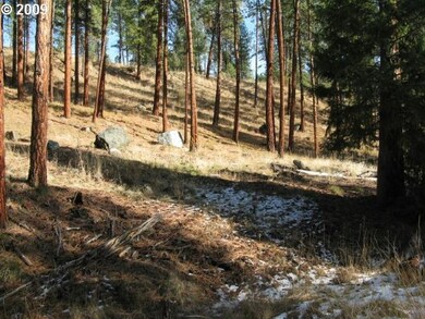 0 Eagle Rock unit 9088562, Canyon City, OR 97820 - photo 4