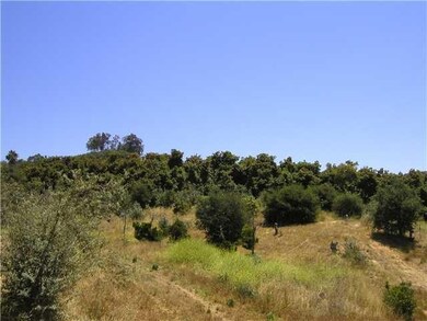 10 ACS Bakton Way, Valley Center, CA 92082 - photo 3