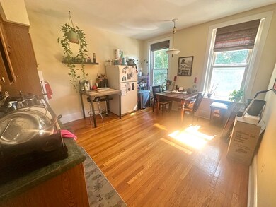 182 St Paul St unit 2F, Brookline, MA 02445 - photo 6