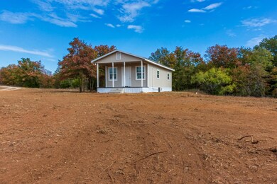 5339 Old Decatur Rd, Alvord, TX 76225 - photo 5