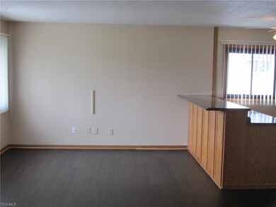 4347 Brockley Ave, Sheffield Lake, OH 44054 - photo 2