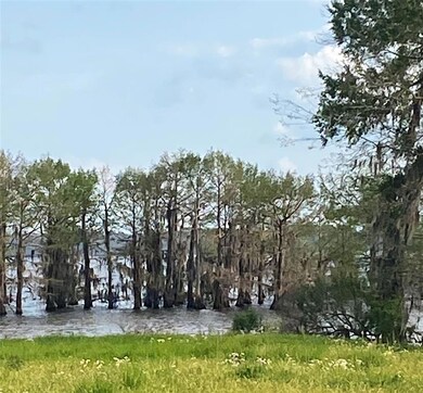 Close up View of Trees, Water frontage & Spanish M