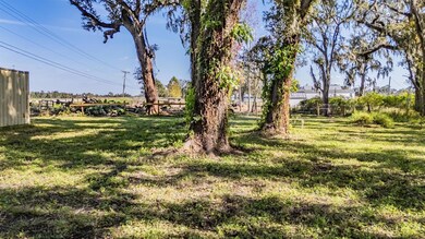 18113 672 Hwy, Lithia, FL 33547 - photo 5