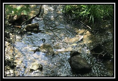 0 Old Union Rd unit 222021550, Ironton, OH 45638 - photo 4