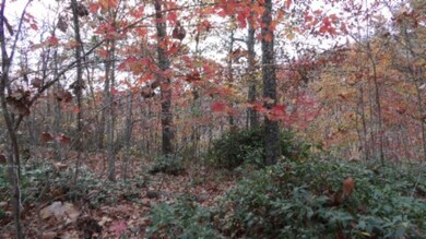 0 Drew Ct unit RTC3050467, Smithville, TN 37166 - photo 7