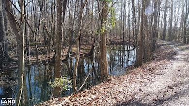 217 Wadboo Plantation Rd, Saint Stephen, SC 29479 - photo 4