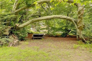 Merrillton estate includes a rare Hornbeam specime