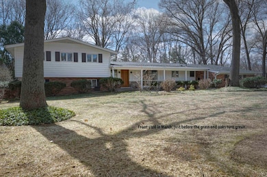 Front View Spring
