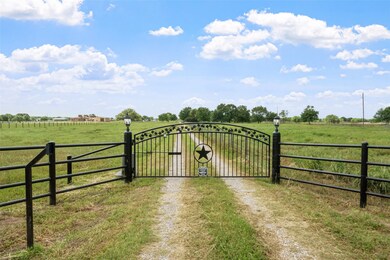 A striking gated entrance with custom star detail