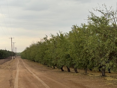 E Keyes Rd, Denair, CA 95316 - photo 3
