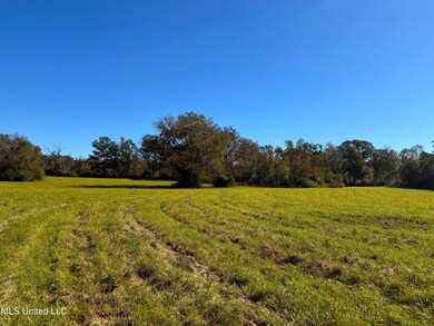 0 Emma Kelly unit 4132130, Magnolia, MS 39652 - photo 6