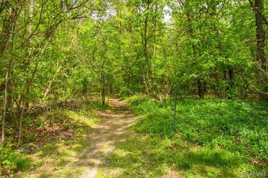 0 Michael St, Brandon Township, MI 48462 - photo 6