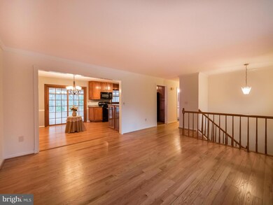 9908 Jonathan Dr, Dunkirk, MD 20754 - photo 3