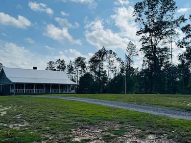 Driveway View