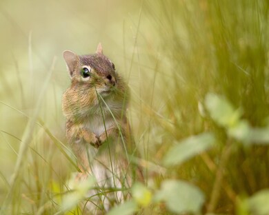 #26 Riverview Dr, Lackawaxen Township, PA 18435 - photo 3