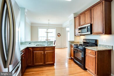 41939 Blue Flag Terrace, Stone Ridge, VA 20105 - photo 7