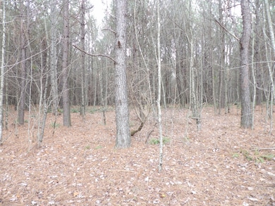 Lot 20 Summer City Rd, Evensville, TN 37332 - photo 4