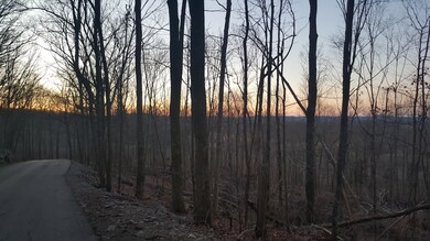 0 Lemont Yates, Spencer, TN 38585 - photo 7