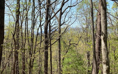 0 Mountain View Ct unit 315601, Ellijay, GA 30536 - photo 3