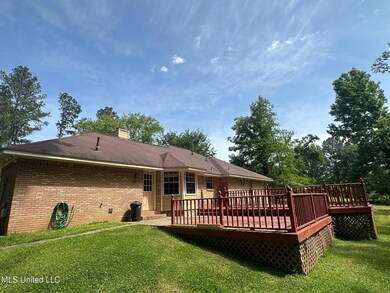 Backyard Party Deck