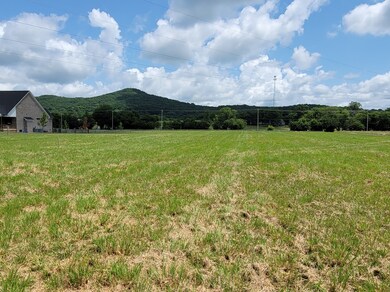 6 Sparta Pike, Lebanon, TN 37090 - photo 3