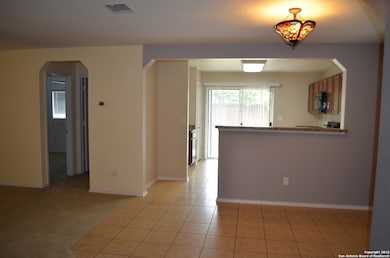 11931 Pure Silver, San Antonio, TX 78254 - photo 5