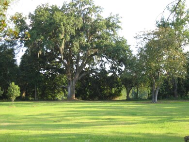 View from Bottom of Hill