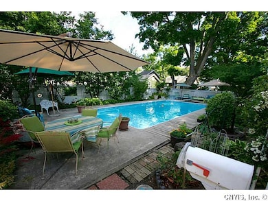 Backyard.