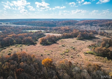 TBD SW 875 St, Kane Township, IL 62031 - photo 6