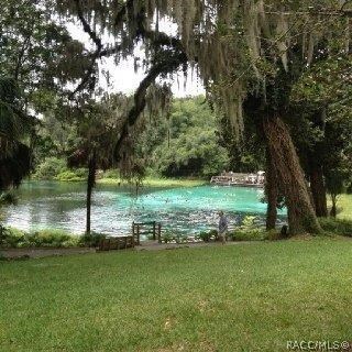00 SW 202 Avenue Rd, Dunnellon, FL 34431 - photo 2