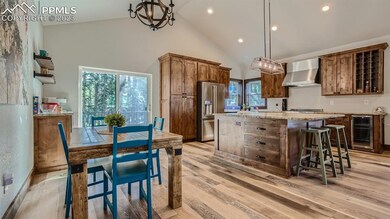 403 Silvermoon Heights, Divide, CO 80814 - photo 4