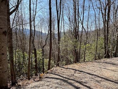 TBD Laurel Ln, Nantahala, NC 28781 - photo 2